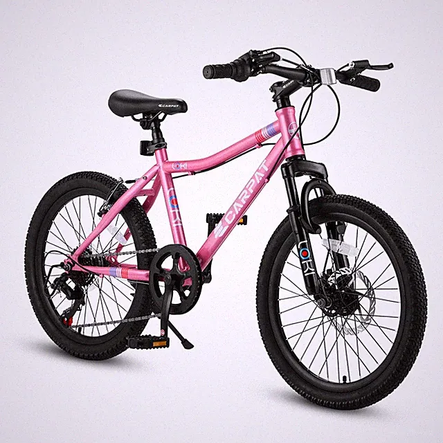20 Inch Kids' Bike Boys Girls Mountain Bike for Ages 6-12 High Steel Frame Pink
