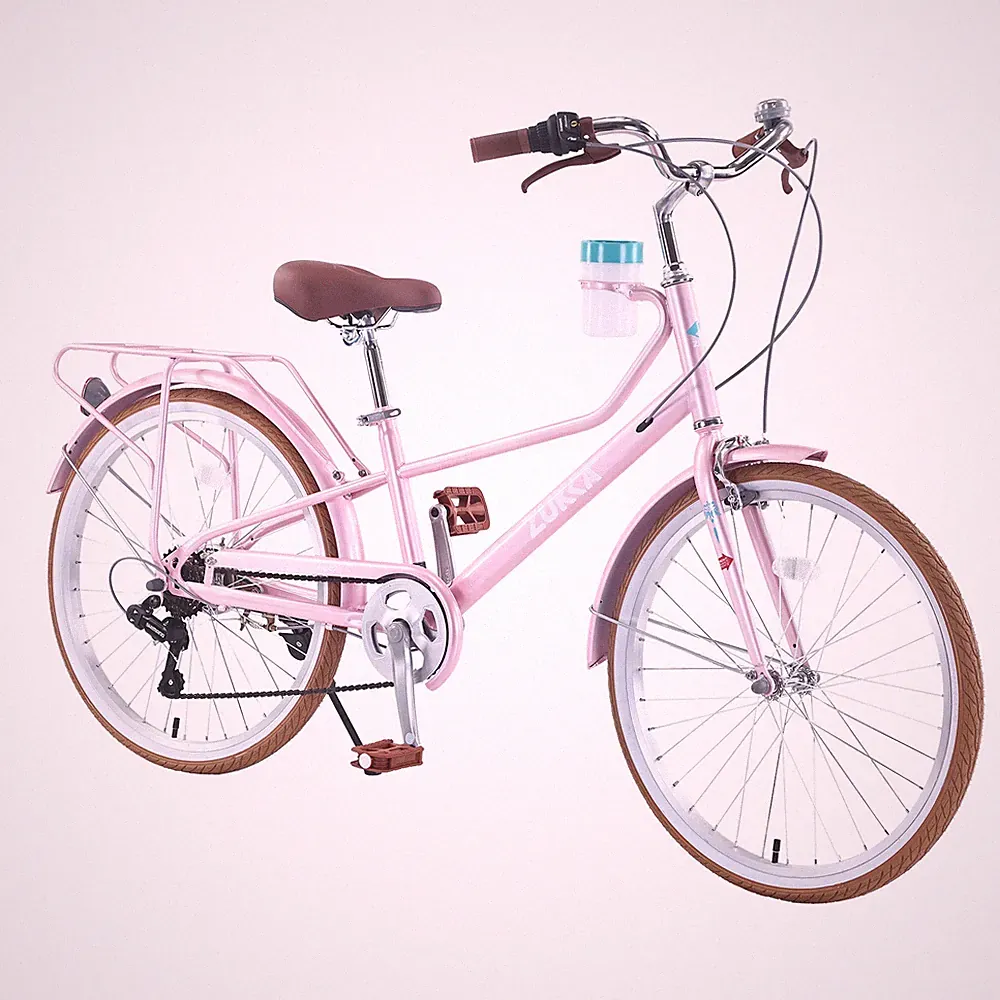 24" Women's Cruiser Bike 6-Speed Step-Through City Bicycle Pink