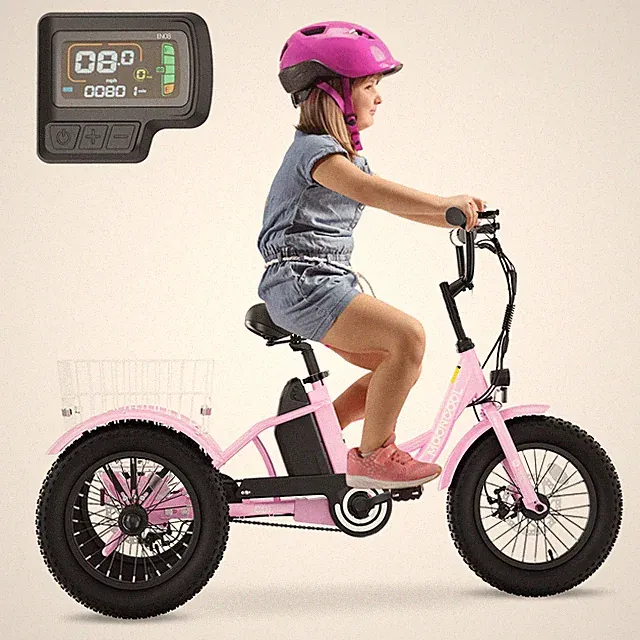 Electric Tricycle for Youth, 250W 16'' Aluminum Frame 3.0 Fat Tire Etricycle