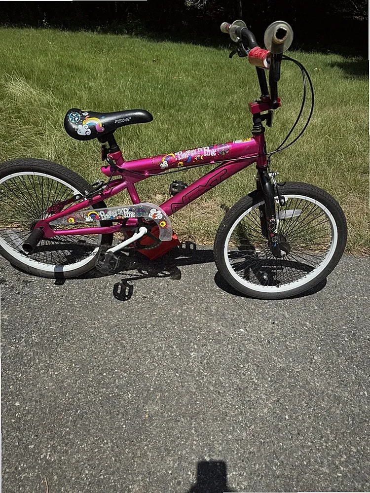 NEXT Pretty in Pink Girls 20in BMX Bike Single Speed Caliper Brakes Pegs